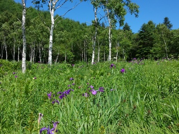 KIMG0057 1.JPG